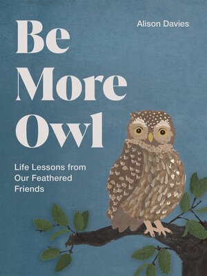 cover image of Be More Owl
